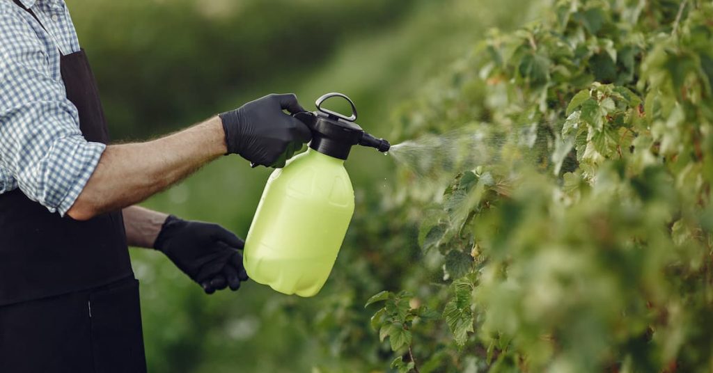 Preparación de los productos biocidas